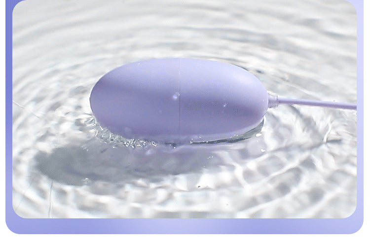 MIJI Series vibrator  Funny egg remote control charging model