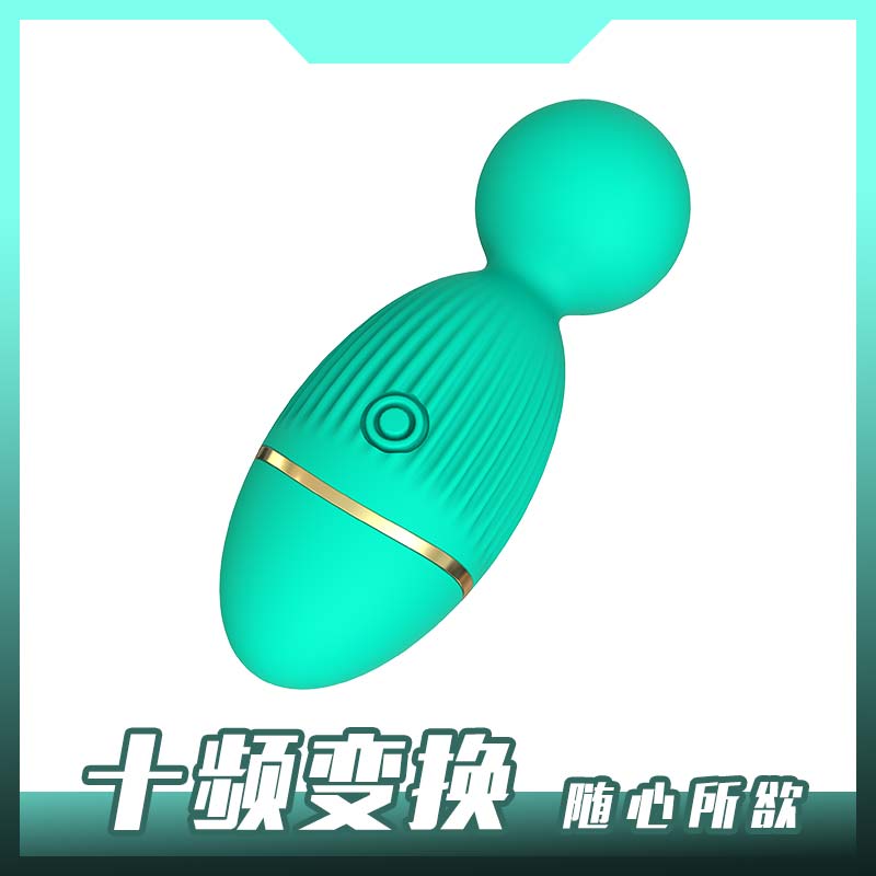 MD Megan medical silicone 10-frequency vibrator