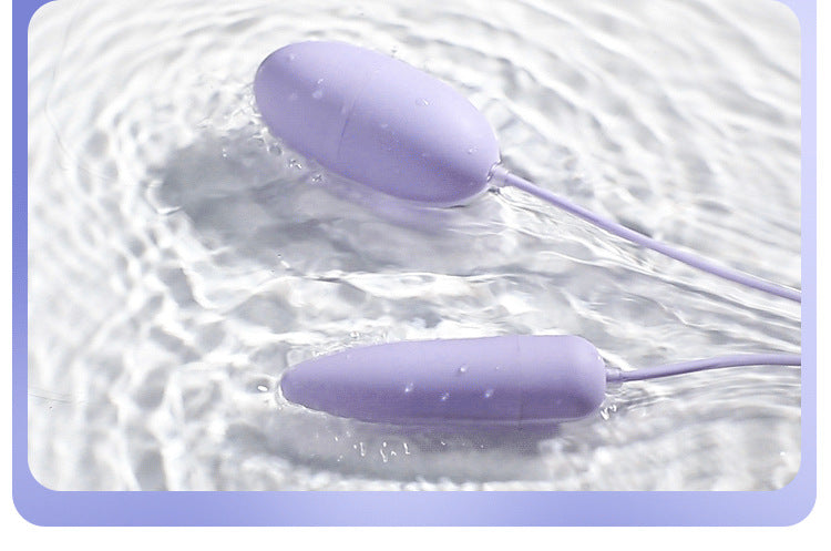 MIJI Series vibrator  Funny egg remote control charging model