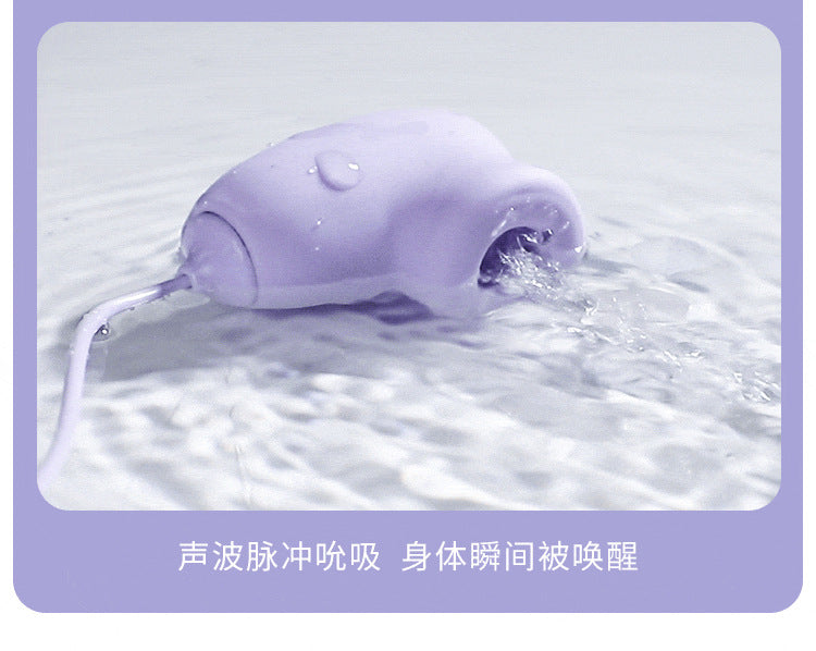 MIJI Series vibrator  Funny egg remote control charging model