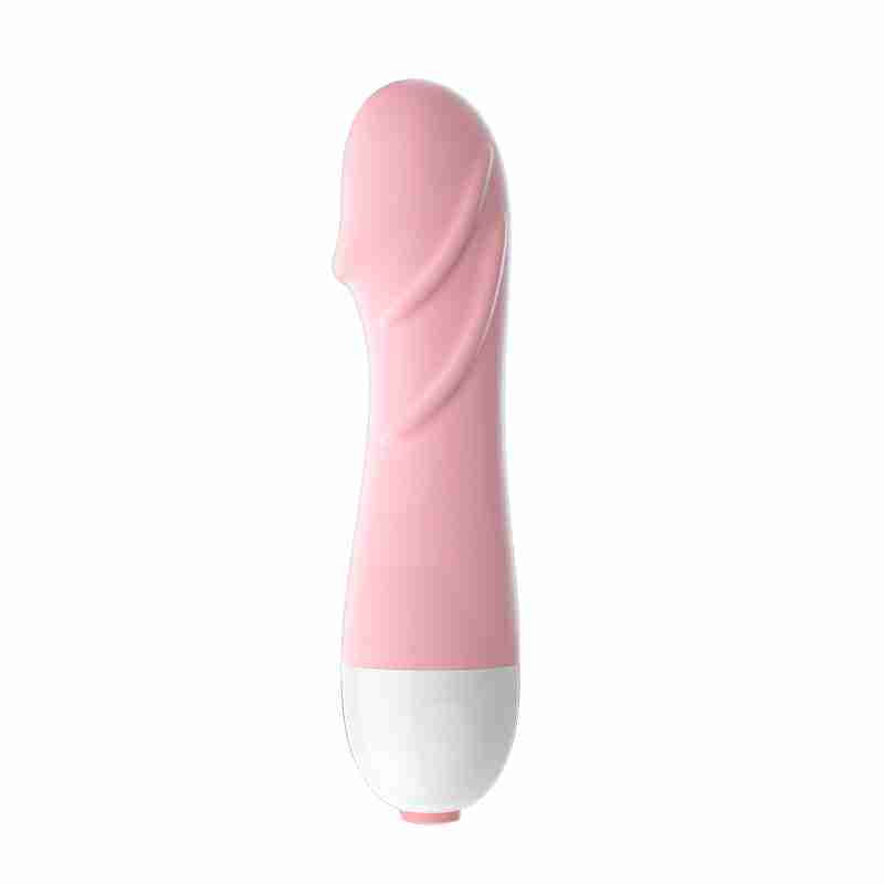 LILO  JYLL Little Turtle Stick Sakura Powder