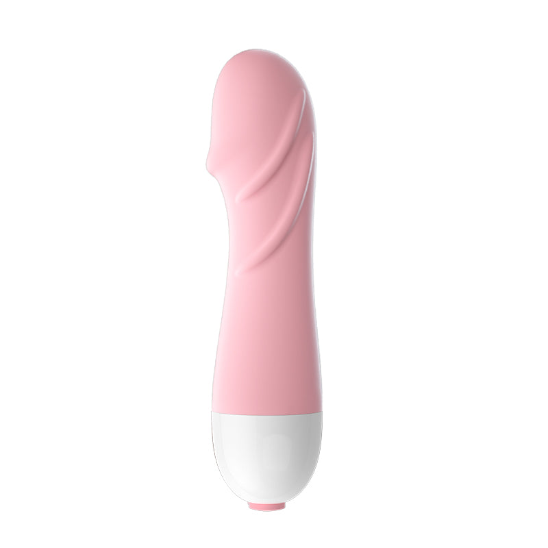 LILO  JYLL Little Turtle Stick Sakura Powder