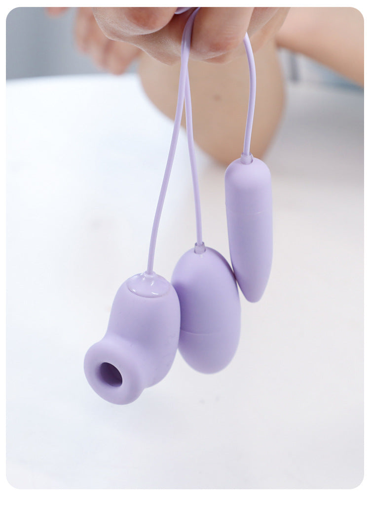 MIJI Series vibrator  Funny egg remote control charging model