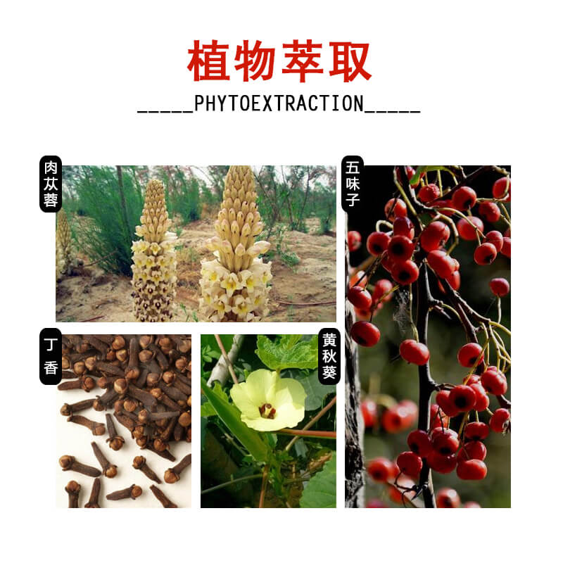 YUXIANG  little red bottle