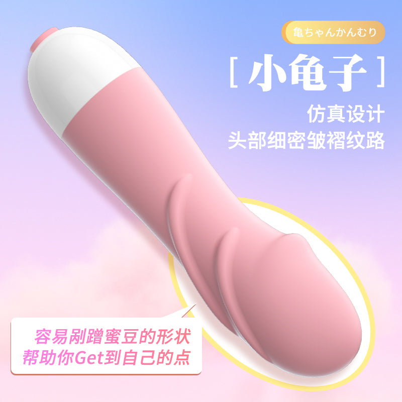 LILO  JYLL Little Turtle Stick Sakura Powder