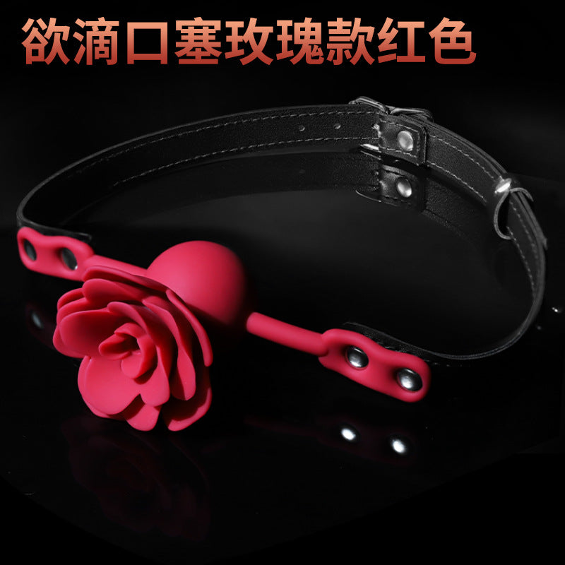 MIJI  Miqing frequency converter fifth generation charging model